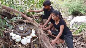 OMG Big snake! See Snake and egg then Cooking eggs for survival food