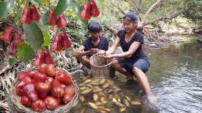 Adventure in forest: Rose apple & Shells for food - Cooking shells spicy, Eating delicious in jungle