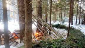 Building Primitive Shelter In Winter Forest, Outdoor Cooking, Survival Skills, Nodya Campfire