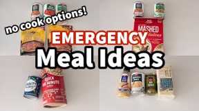 EMERGENCY FOOD STORAGE AND PREP | Easy Meals From Shelf Stable Ingredients FOR CHEAP!