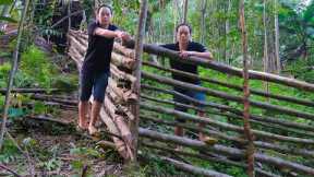 Duong fence around to make pig barn, project to raise wild boar in a natural way | Primitive Skills