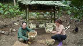Making a bamboo house for chickens to lay eggs, farmer's life, survival alone