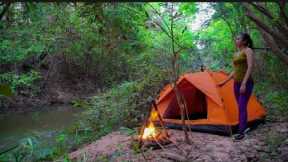 Solo Overnight in Forest - Survival Summer Camping in Jungle | Bush Primitive Skills
