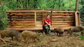 Build a barn for wild boars, Take care of them, forage for them, Develop the farm | Primitive Skills