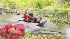 Survival in forest: Catch big catfish in river for food - Big fish spicy roasted for dinner