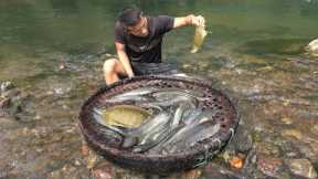 Primitive Skills : Video Survival Skills. Build Traps To Catch A Lot Of Fish, Life In The Forest