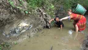 Primitive Life : Video Survival Skills. Catch A Lot Of Fish In The Shallow Hole, Life In The Forest
