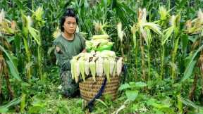 Harvest corn to bring to the market to sell, survival skills