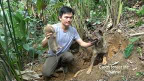 A tiring day of working and catching big mice with Mao Mao. Robert | Green forest life (ep299)