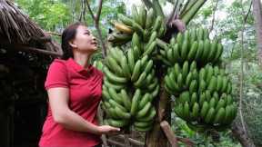 Harvesting Banana Goes to the market sell - help PRIMITIVE SKILLS take care of the Farm