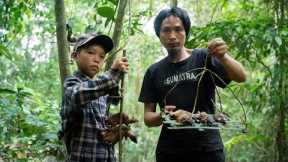 Finish The Jungle Survival Skills Training, Set Traps And Harvest Mountain Mouses