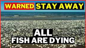 WARNING Millions of fish Dying | Prepping For SHTF news