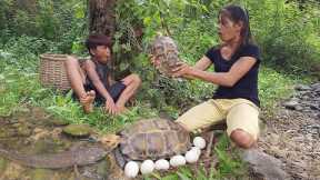 Catch fish Found turtle egg for food- Turtle egg braised with big fish for dinner Survival in forest