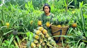 Harvest pineapples and bring them to the market to sell, clean up around the house, survival skills