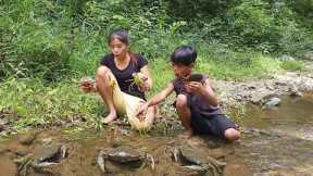 Survival skills: Wow Catch biggest crab in river for food - Big crab spicy cooking for dinner
