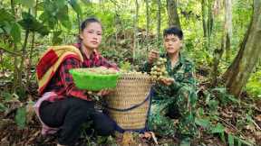 Harvesting forest fruits to bring to the market sell - my family's daily life