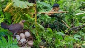 Survival, going to collect firewood, discovering wild chickens laying eggs, survival skills