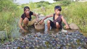 Survival skills: Found and catch snail for food - Snail spicy cooking, Eating with Younger brother