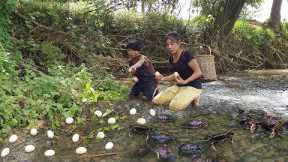 Adventure in forest: Catch crab and Pick egg for food - Cooking Crab delicious with egg for dinner