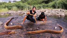 Wow! Found and Big eel in river for food - Eel soup spicy delicious Eating with Younger brother