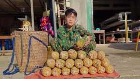 Harvest pineapple to bring to the market to sell and buy chicks to raise