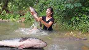 Found catch Biggest fish in river for food - Big fish grilled with Hot chili sauce for survival food