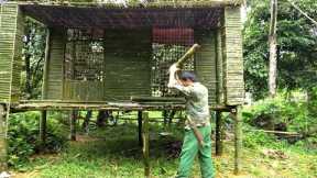 Building bamboo house,Forest Life,Wilderness Alone, Survival Skills Asia