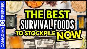 10 Best Survival Foods to Stockpile for Disaster