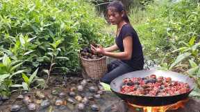 Adventure solo in forest: Snails hot chili cooking for delicious food in jungle