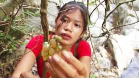 Survival Skills Finding wild fruit and catching red fish for jungle Cooking and eating