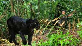 Survive alone. In the forest. Danger, black panther, Attack, Fear, Survival skills