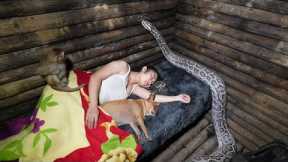 While Sleeping, a Large Python Attacks and Prepares to Constrict.../ Huyen P.2 - Series I