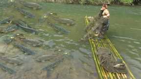 Harvesting fish - Cast net catch a lot of fish, Survival skills, free bushcraft