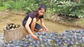 Survival Food Catching and cooking snails for jungle yummy Food