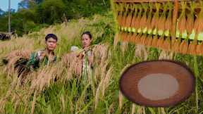 Together with his wife, he harvested ripe upland rice and worked in a mortar and pounded rice