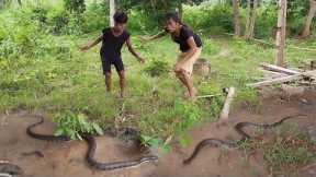 Amazing Skill! Catching Big Snake in forest and Cooking for food @survivalskillsanywhere