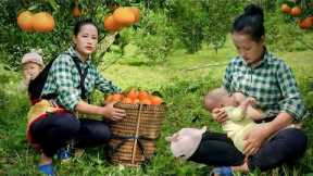 Single mother life - Harvesting oranges and bringing them to the market to sell