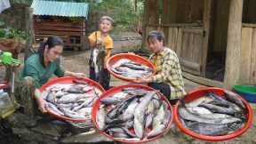 Harvesting, lake fish of local people, how to process and preserve, survival alone