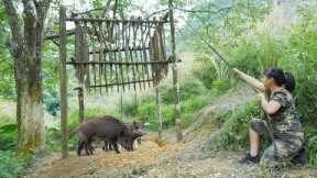 Discovering Wild Boar Herds - Build a Large Trap and Wait for Your Prey, Part 6