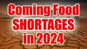 Prepare for Food Shortages in 2024 - STOCKPILE NOW while you CAN