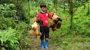 FULL VIDEO 10-DAY: Bac's survival skills when living alone: catching fish, trapping wild chickens.