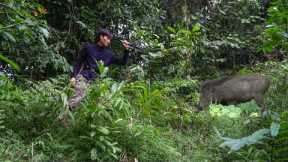 2 DAYS solo survival Camping in Heavy Rain. Wild boar trapping skills. FISHING, Survival Shelter