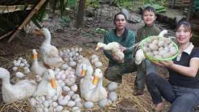 Harvest duck eggs, build nests for ducks to lay eggs, survival alone