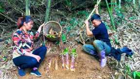 Together Dig and harvest bamboo shoots to sell - Build a beautiful new life in 2024