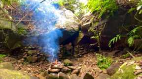 Build rock shelters and hunt fish in the forest to survive