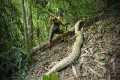Giant Python Discovered - Chase Wild