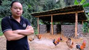 PRIMITIVE SKILLS; Duong continue to raise pigs - Build a pig barn out of stone