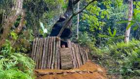 Meet wild monkey. Build a Secret Survival Shelter under a large tree, Foraging Wild Food, Cooking