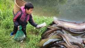 Herring trapping skills, orphan boy khai makes fish traps from plastic bottles harvests fish to sell