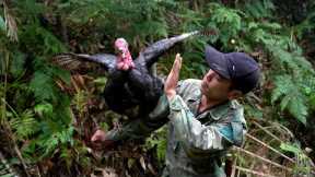 Survive alone trap big and ferocious turkeys | Survival skills | Đặng Văn Toàn
